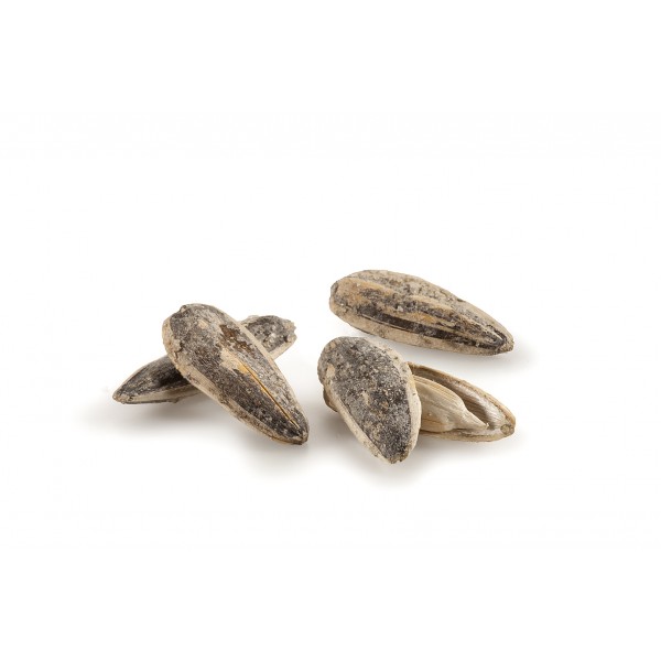 salted - roasted - dried nuts - SUNFLOWER SEEDS ROASTED SALTED ROASTED NUTS WITH SALT
